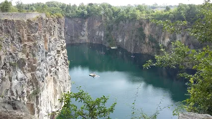 Image de Callewaert / Henri